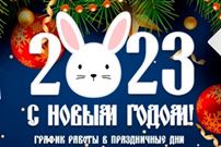 С наступающим Новым 2023 годом Кролика!
